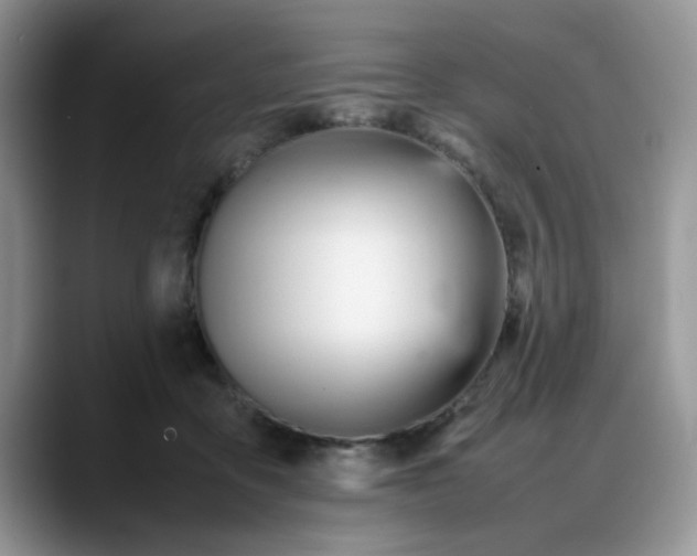 X0000088170411200705291935