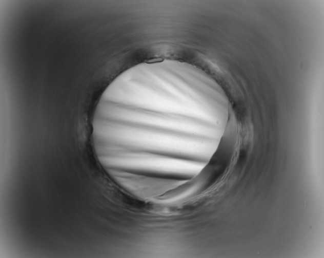 X0000088170413200705291935