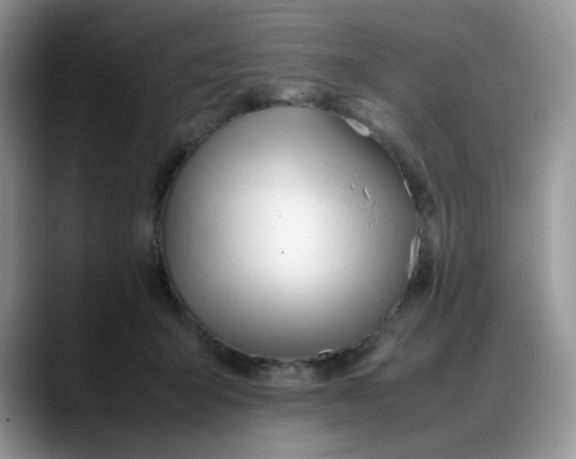 X0000088170415200705291935