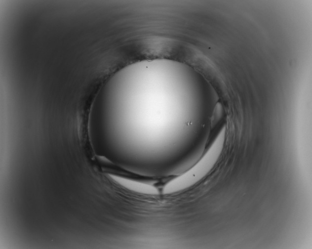 X0000088170416200705291935