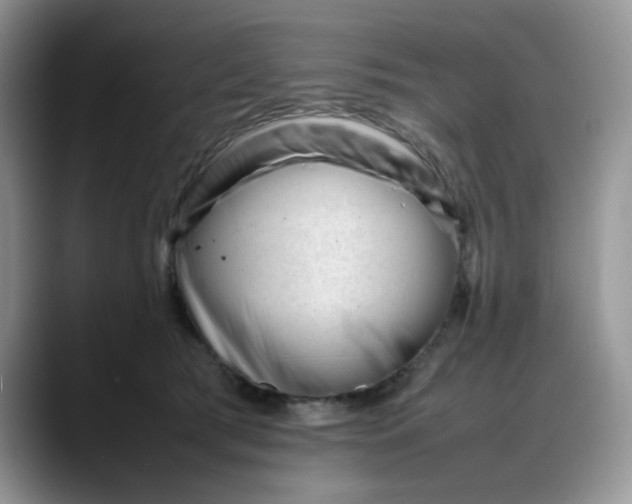 X0000088170417200705291935