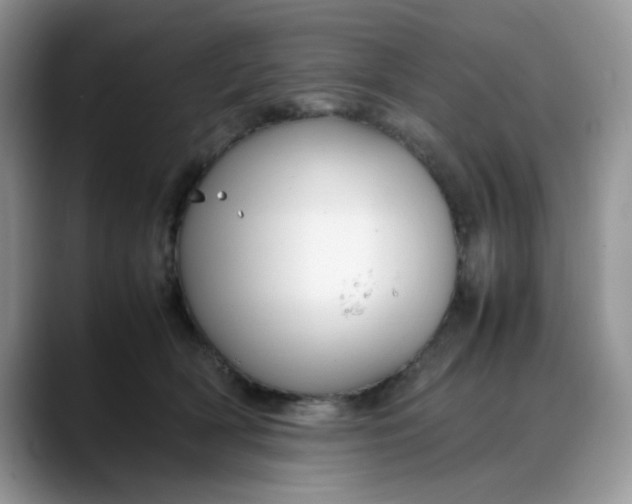 X0000088170418200705291935