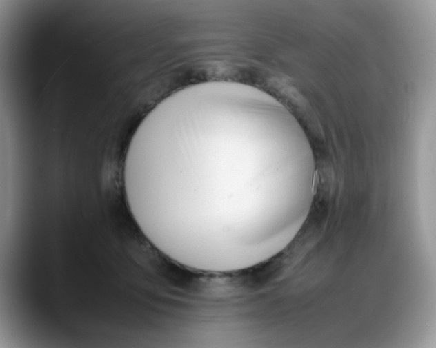 X0000088170419200705291935