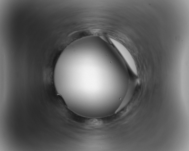 X0000088170421200705291935