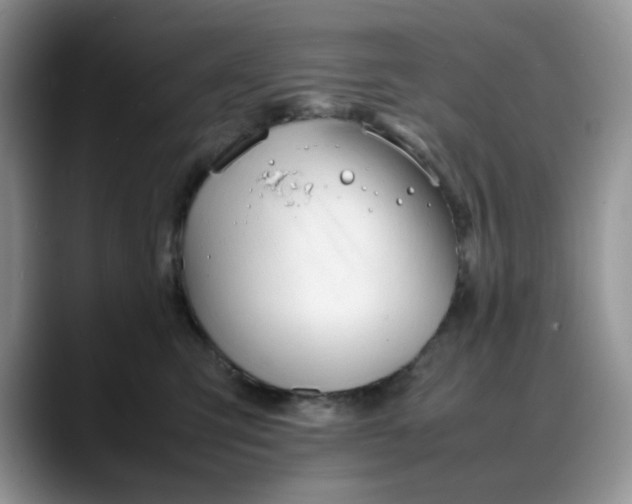 X0000088170423200705291935