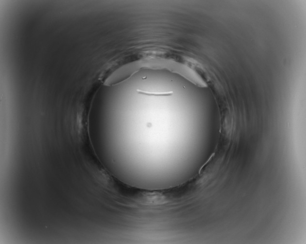 X0000088170424200705291935