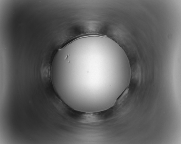 X0000088170425200705291935