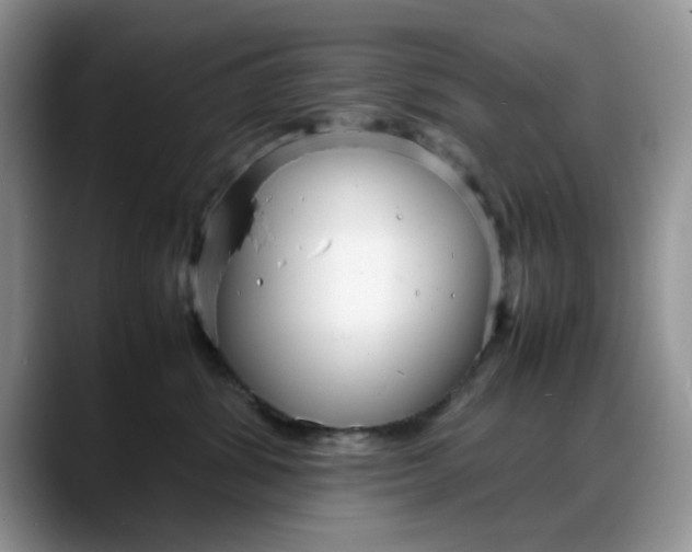 X0000088170428200705291935