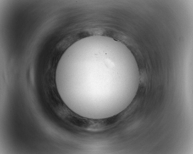 X0000088170431200705291935