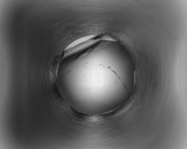 X0000088170432200705291935