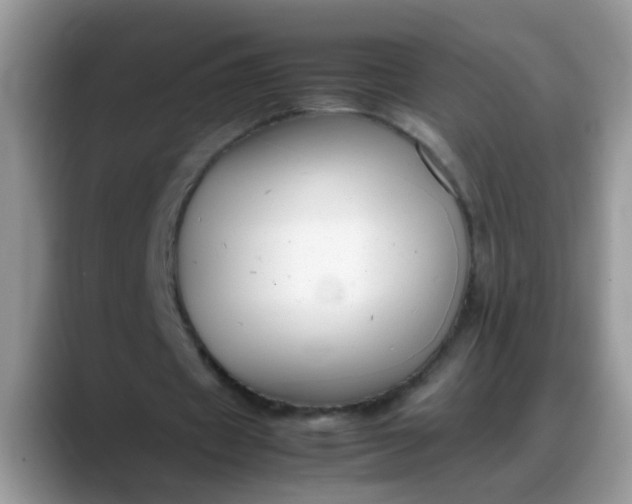 X0000088170433200705291935