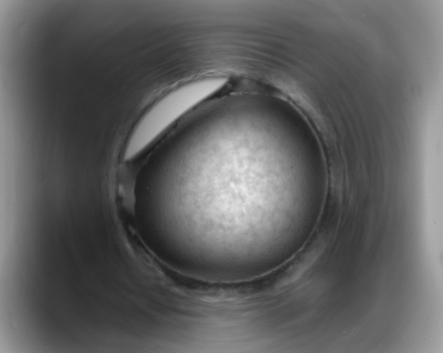 X0000088170434200705291935