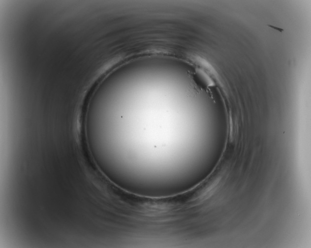 X0000088170435200705291935