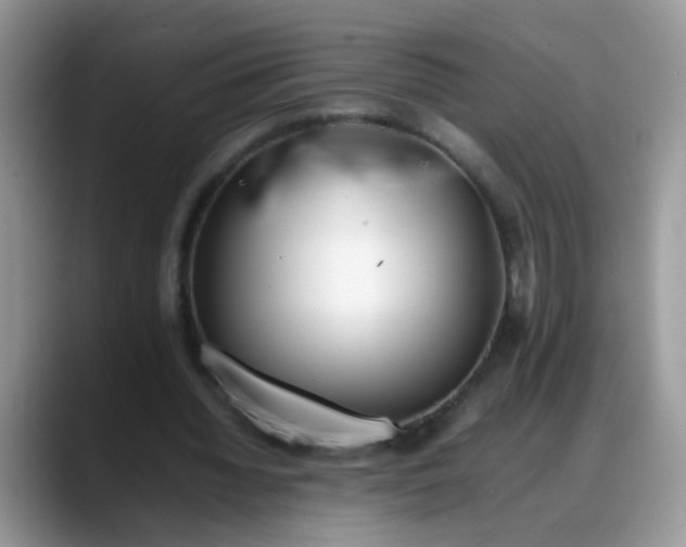 X0000088170436200705291935