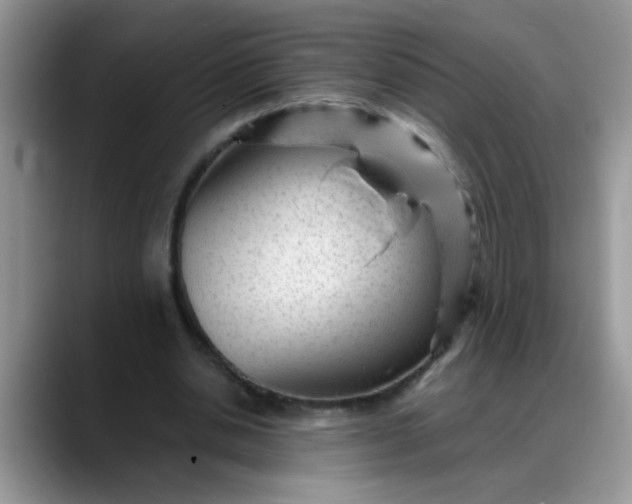 X0000088170438200705291935