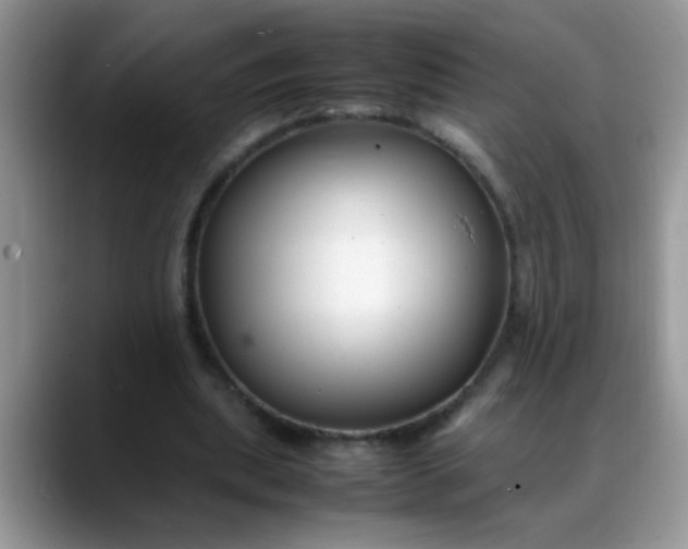 X0000088170439200705291935