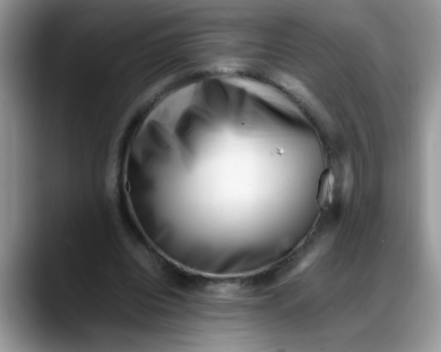 X0000088170440200705291935