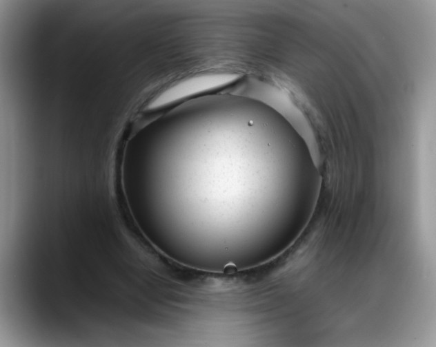 X0000088170442200705291935