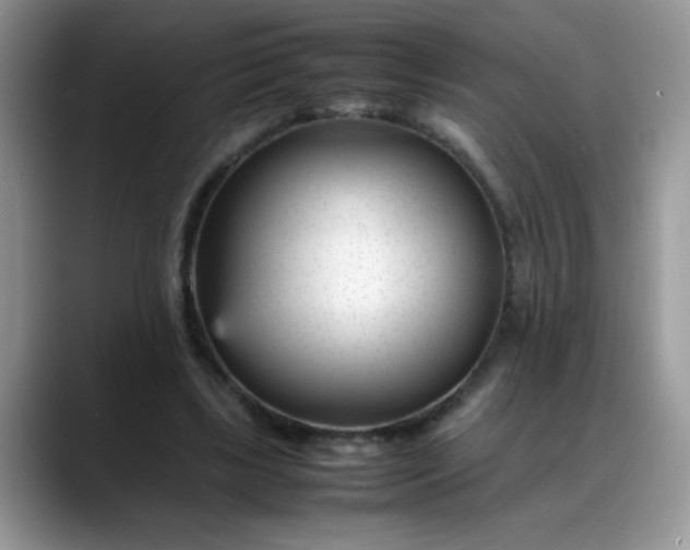 X0000088170443200705291935