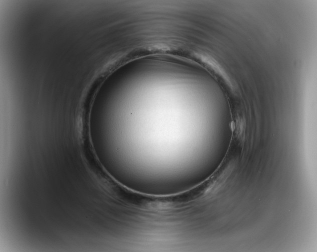 X0000088170444200705291935