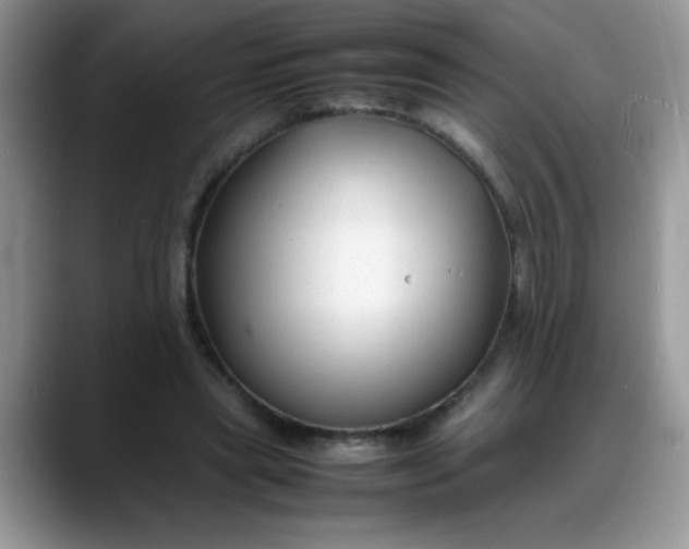 X0000088170445200705291935