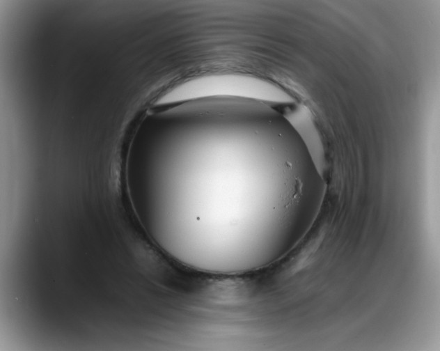 X0000088170446200705291935