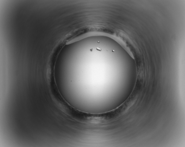 X0000088170448200705291935