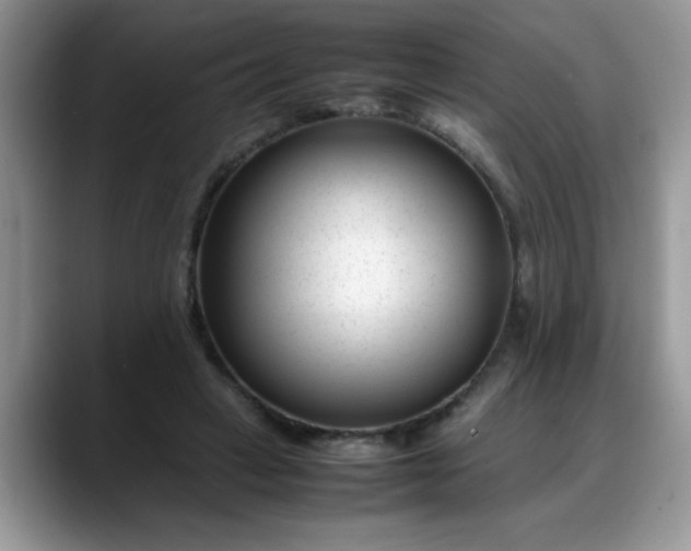 X0000088170449200705291935