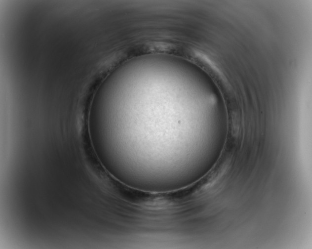 X0000088170451200705291935