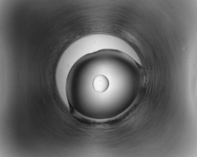 X0000088170452200705291935