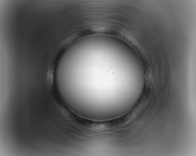 X0000088170454200705291935