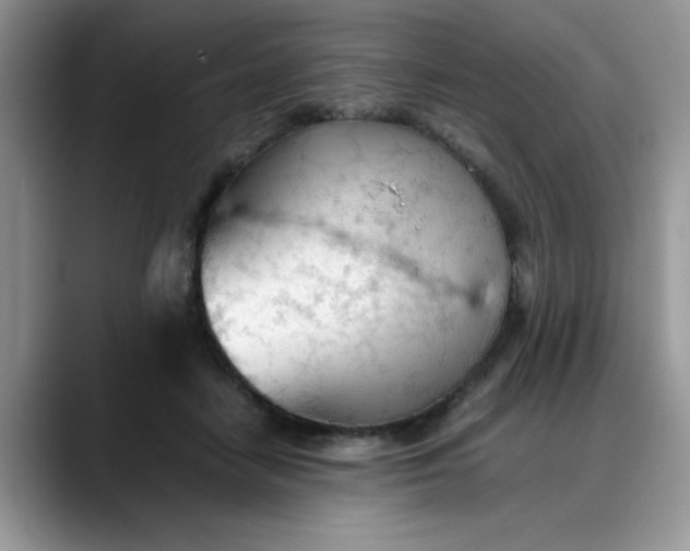 X0000088170458200705291935