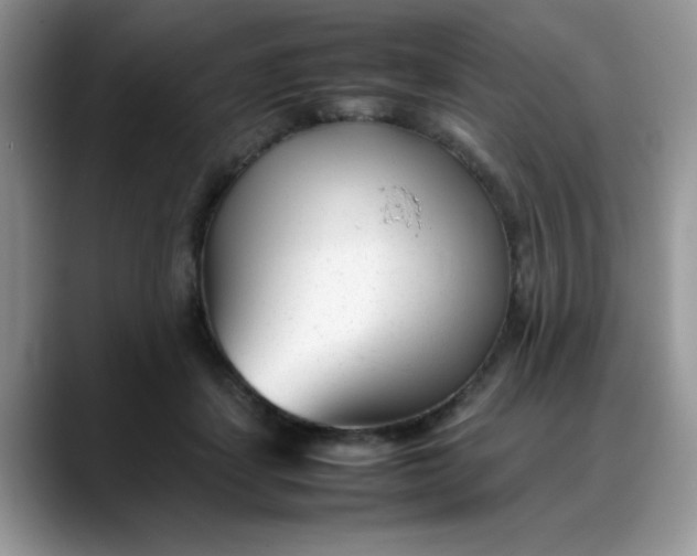 X0000088170459200705291935