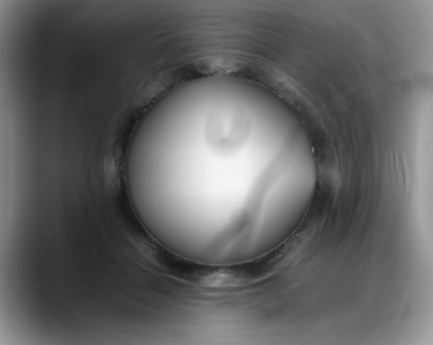 X0000088170460200705291935