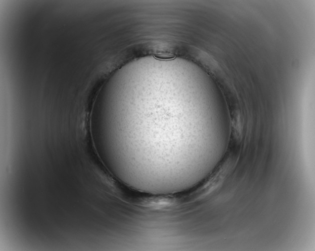 X0000088170462200705291935