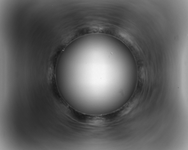 X0000088170463200705291935