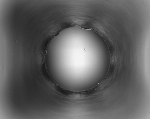 X0000088170464200705291935