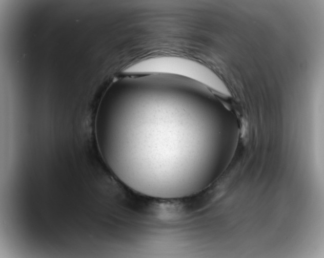 X0000088170466200705291935