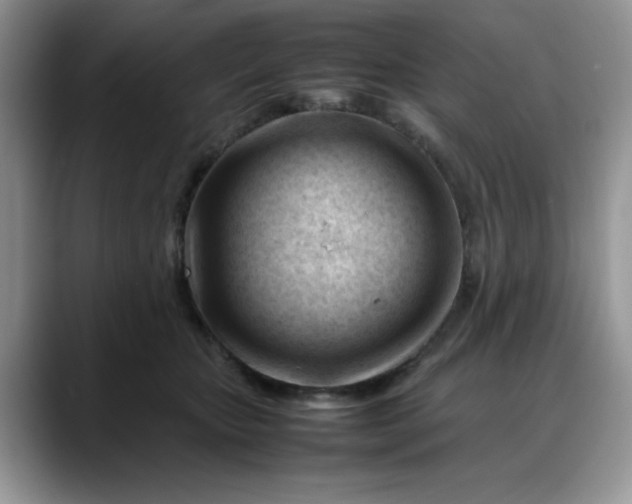 X0000088170467200705291935