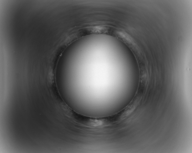 X0000088170469200705291935