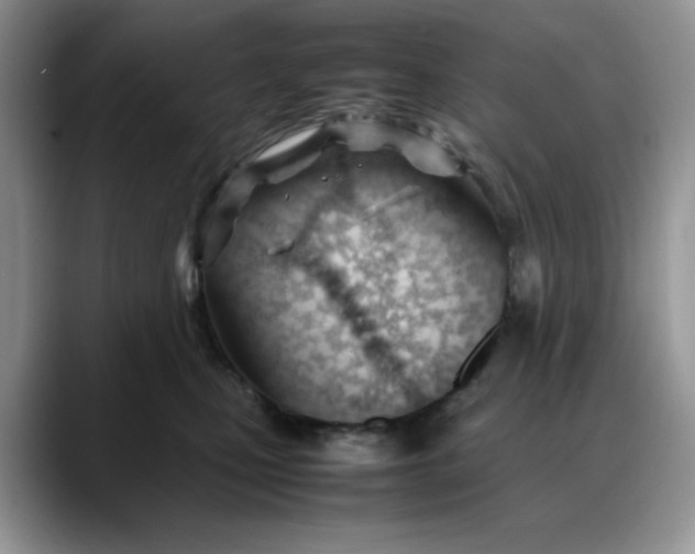 X0000088170471200705291935