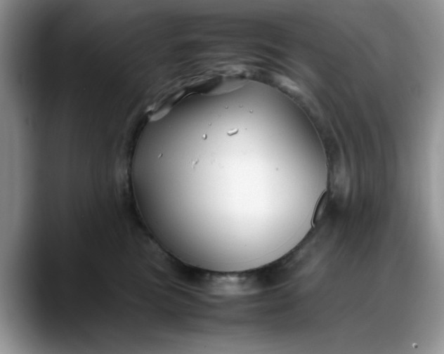 X0000088170473200705291935