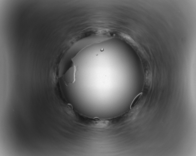 X0000088170474200705291935