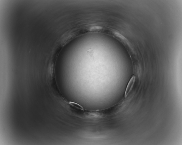 X0000088170475200705291935