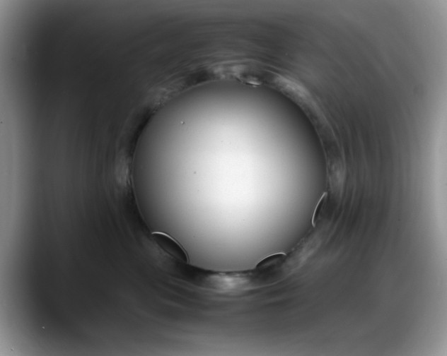 X0000088170477200705291935