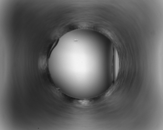 X0000088170478200705291935