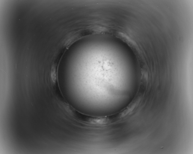 X0000088170479200705291935