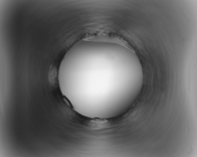 X0000088170480200705291935