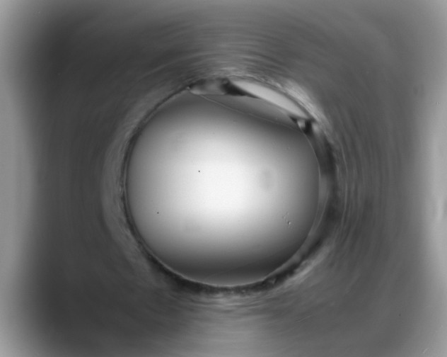 X0000088170481200705291935