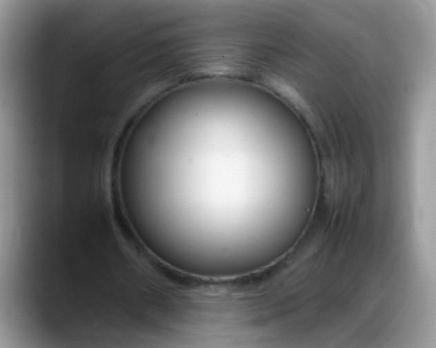 X0000088170482200705291935